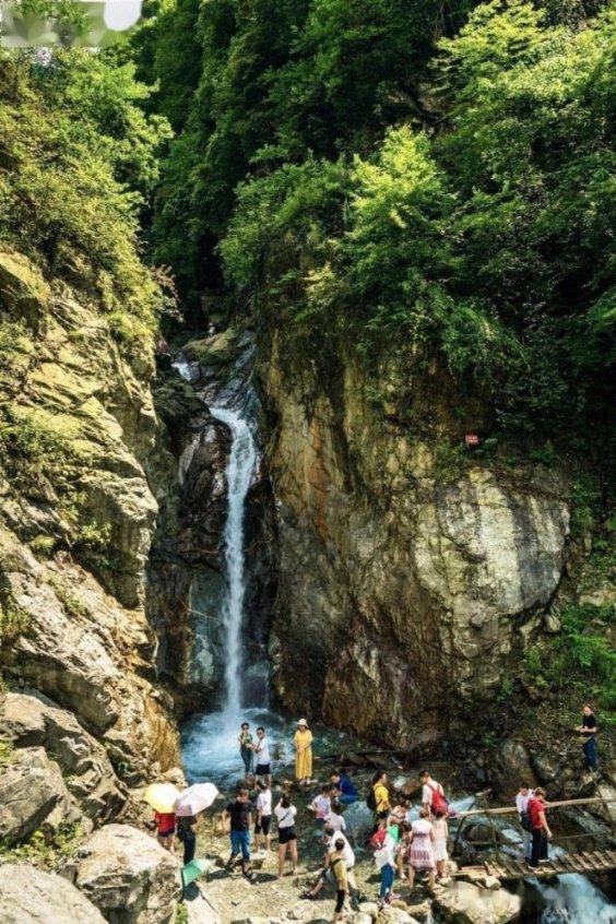 广东队在选择成绩和新老交替两条路上，错误地选择了既要又要
